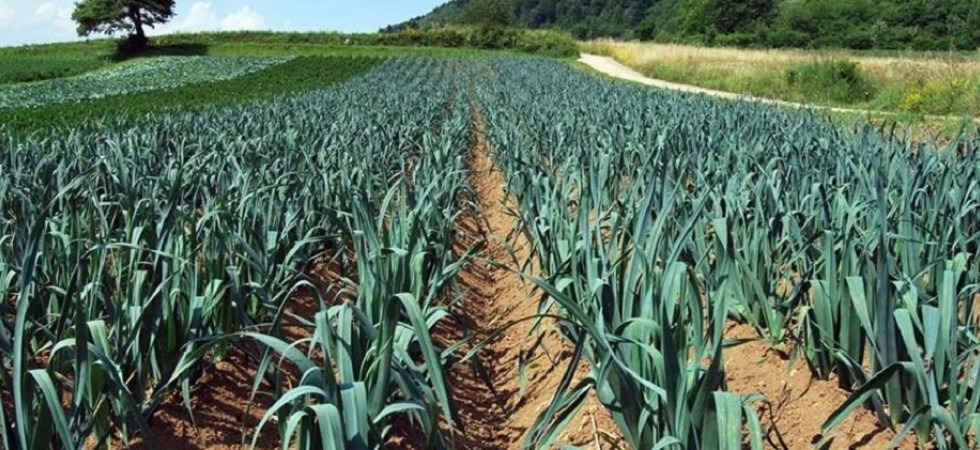 Referendum per il Bio-distretto provinciale: nominata la commissione che valuterà il quesito